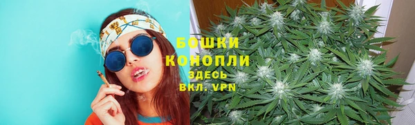 PSILOCYBIN Осинники