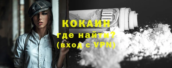 PSILOCYBIN Осинники