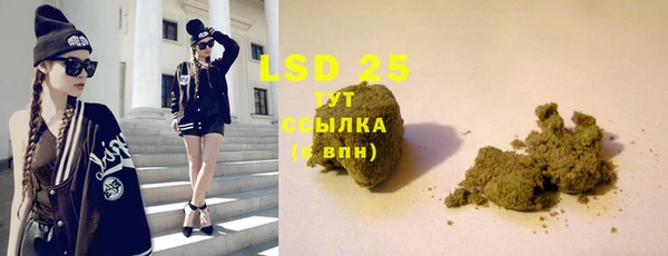 PSILOCYBIN Осинники