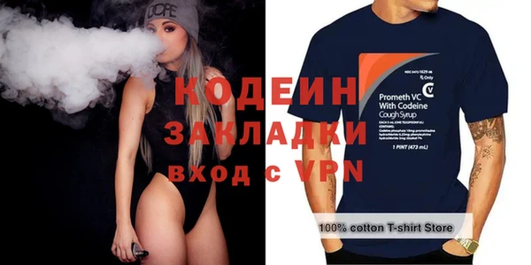 индика Билибино